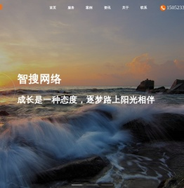 泰州网络公司