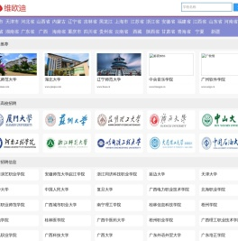维欧迪