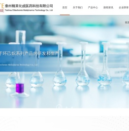 泰州精英化成医药科技有限