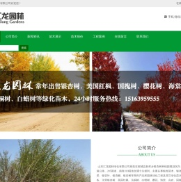 银杏树
