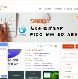 SAP培训