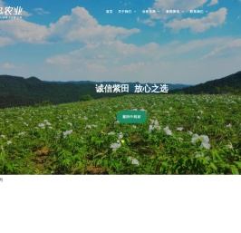 紫田农业