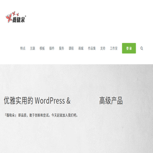 薇晓朵网络工作室