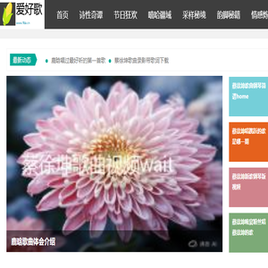 爱好歌