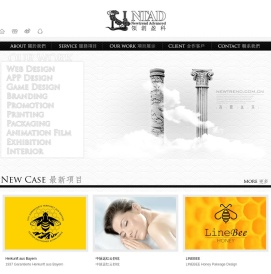 领创盈科:网站设计,APP应用,游戏设计,品牌设计,网络推广,平面印刷,产品包装,影视作品,展览活动,室内设计