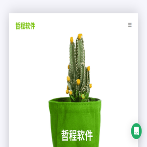 上海APP定制公司