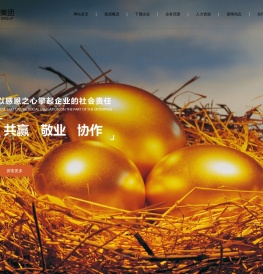 江苏新暨阳集团有限公司