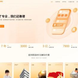 成都小程序开发定制,成都APP开发公司,成都软件开发