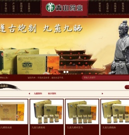 河南省青山药业股份有限公司官网