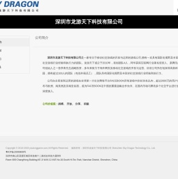 深圳市龙游天下科技有限公司