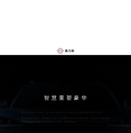 赛力斯集团股份有限公司