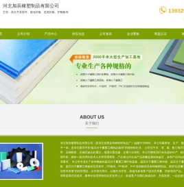 河北高分子异形件