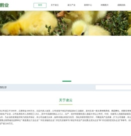 凌云鹅业,易县凌云,易县凌云鹅业有限公司
