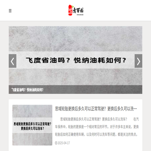 奇飞诚意百科