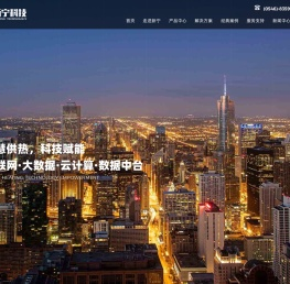 智慧信息化行业领军企业