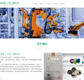 伊津政电线电缆（上海）有限公司