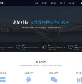 豪情科技