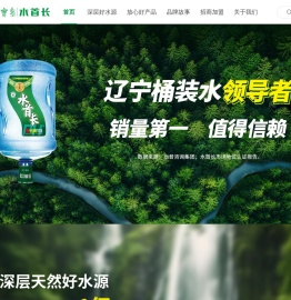 沈阳大清宝泉矿泉水饮品制品有限公司