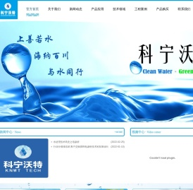 离子交换膜