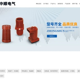 浙江中顺电气有限公司