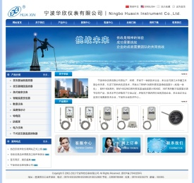 宁波华欣仪表有限公司