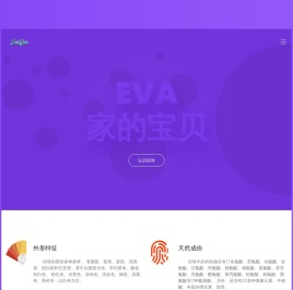 奢意时尚