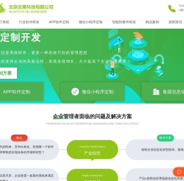软件定制开发