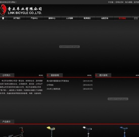 奇正车业有限公司