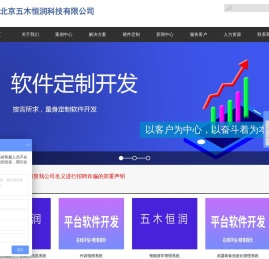 北京软件开发