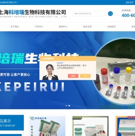 小鼠抗体