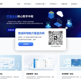 ERP软件系统