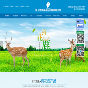 湖北养鹿场,湖北养鹿基地,湖北休闲渡假村,湖北生态园农场,梅花鹿养殖场,梅花鹿养殖基地