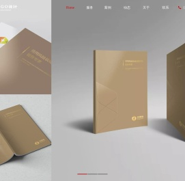 企业logo设计/公司标志设计/品牌商标设计/北京logo设计公司
