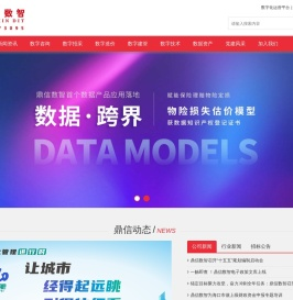 鼎信数智技术集团股份有限公司