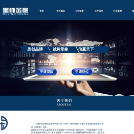 墨林金融