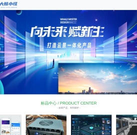 广州市大鲸小怪技术有限公司