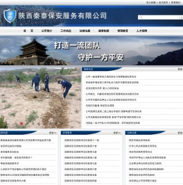 陕西秦泰保安服务有限公司