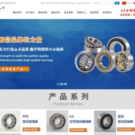1类调心球轴承