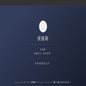 侠盾网