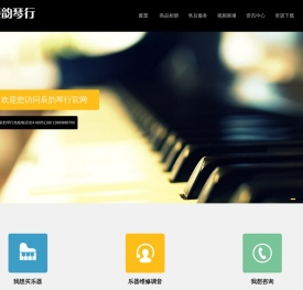 辰韵琴行