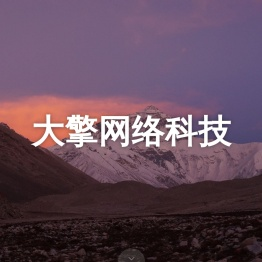 大擎网络科技