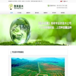 昆明苗木公司