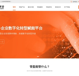 管盈