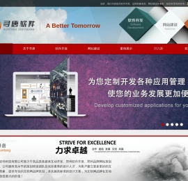 河南寻唐软件