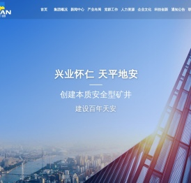 山东省天安矿业集团有限公司
