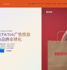 专业海外游戏推广解决方案提供商