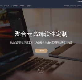 软件定制