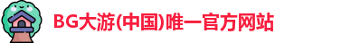 上海程白电子科技有限公司