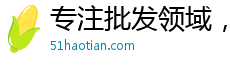 专注批发领域