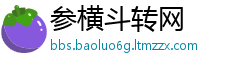 参横斗转网